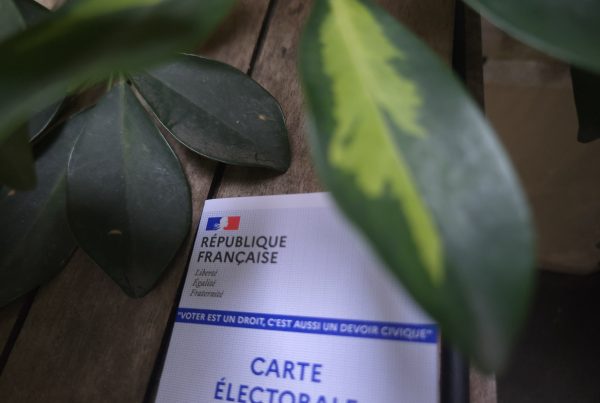 une carte électorale sous des plantes