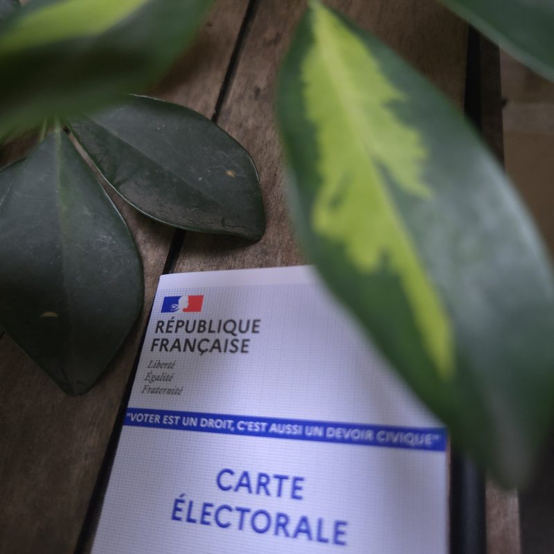 une carte électorale sous des plantes