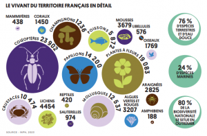 Les espèces en France