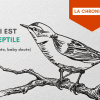 Doute baby doute - ceci est un reptile