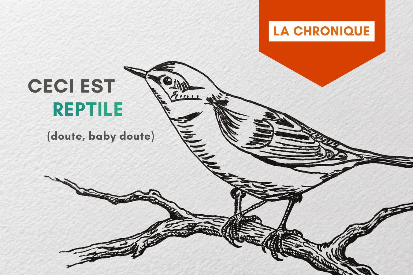 Doute baby doute - ceci est un reptile