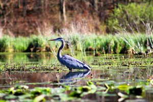 Photo de Tyler Butler sur Unsplash