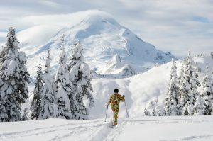 homme dans un foret enneigé