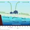 Crée par Phoebe Skok pour Reporters d’Espoirs d’après une infographie de NOAA