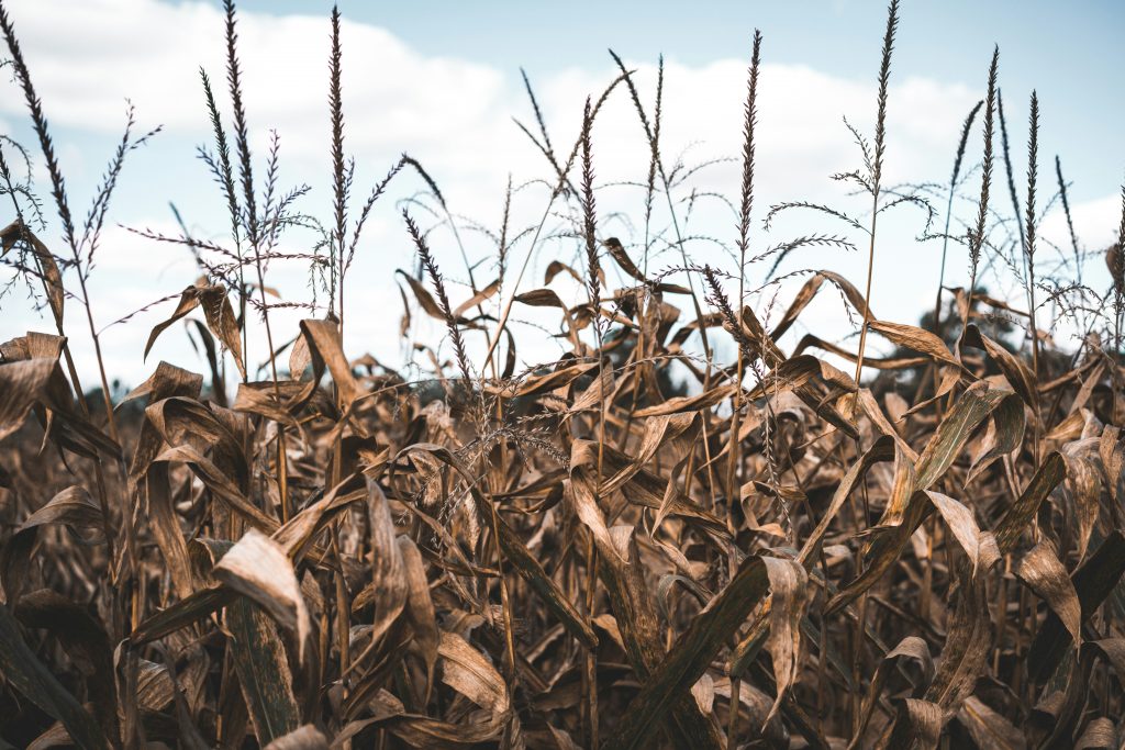 Photo de Keagan Henman sur Unsplash