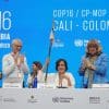 « COP16 -PLENARY 1NOV 76 » par UN Biodiversity, CC BY 2.0