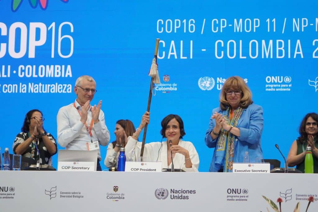 « COP16 -PLENARY 1NOV 76 » par UN Biodiversity, CC BY 2.0