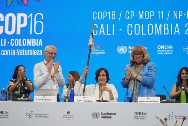 « COP16 -PLENARY 1NOV 76 » par UN Biodiversity, CC BY 2.0