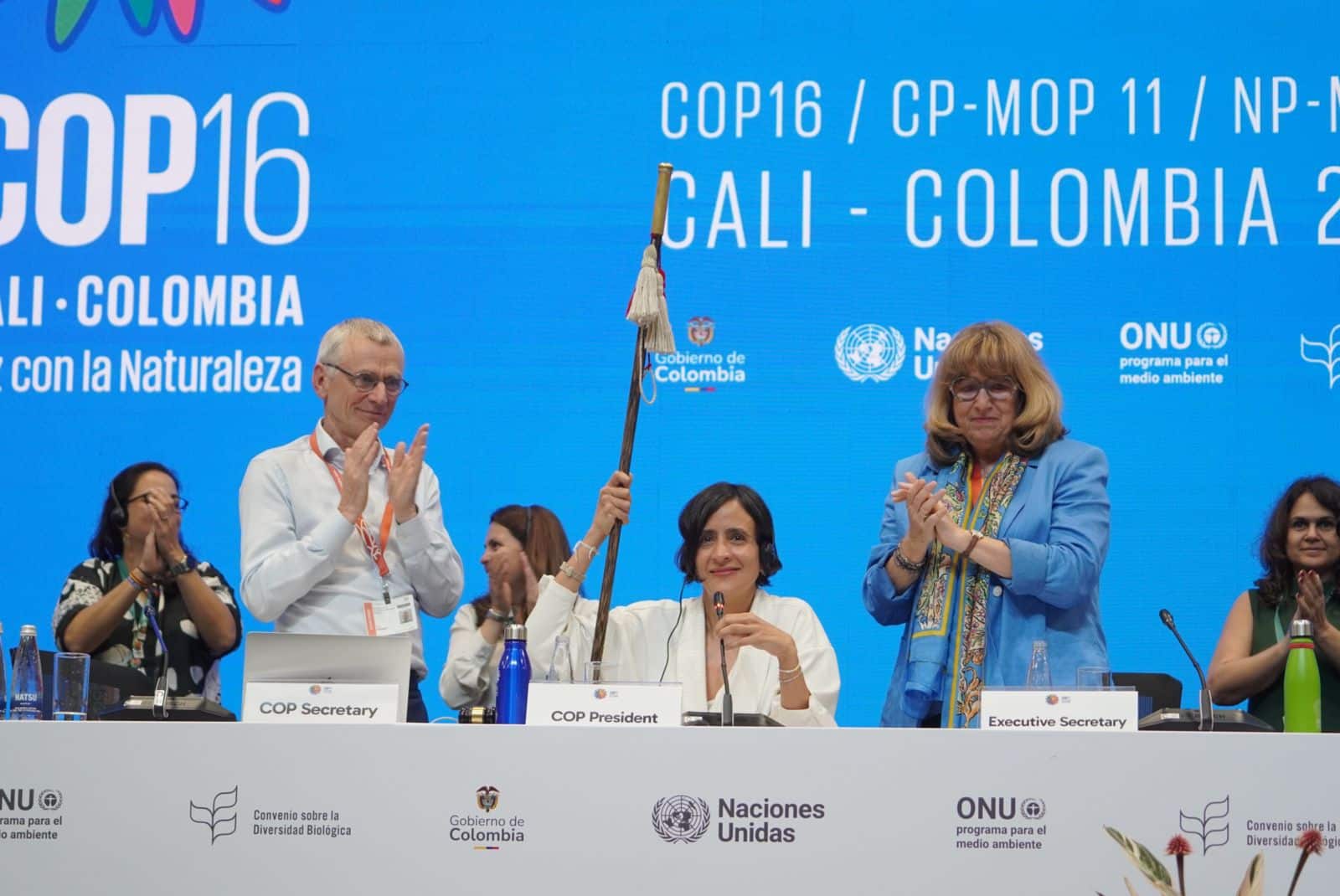 « COP16 -PLENARY 1NOV 76 » par UN Biodiversity, CC BY 2.0